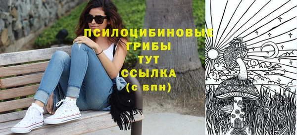 мет Елабуга