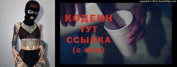 крисы Елизово