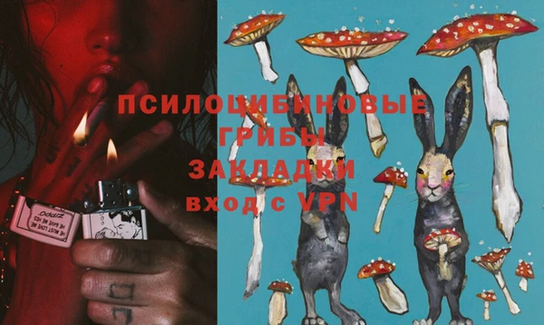 герыч Алзамай