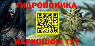 прущие грибы Апрелевка