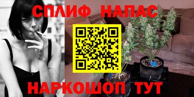 spice Гулькевичи