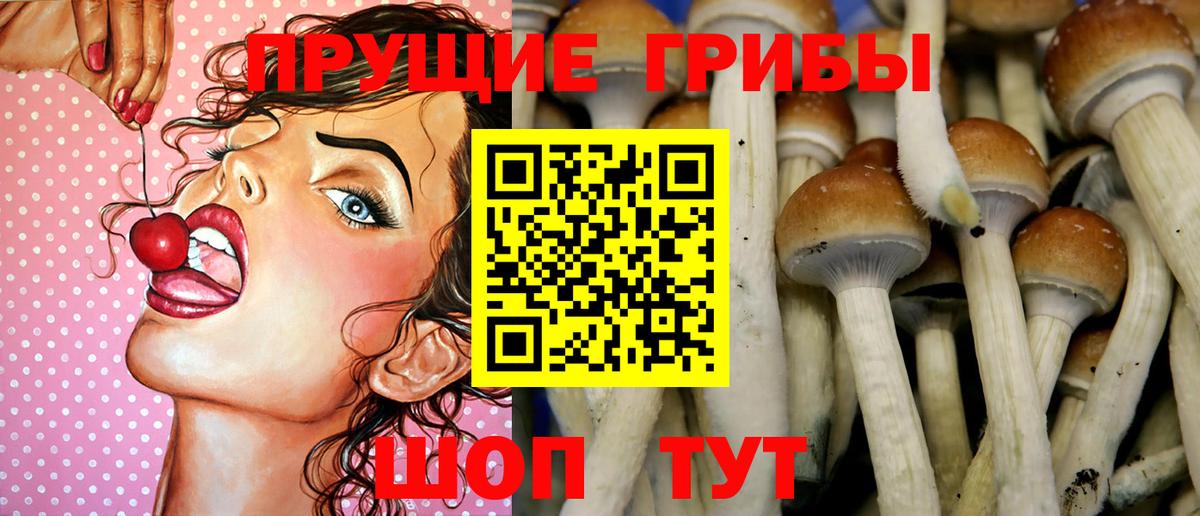 Белореченск  Псилоцибиновые грибы MAGIC MUSHROOMS  Вход с VPN 