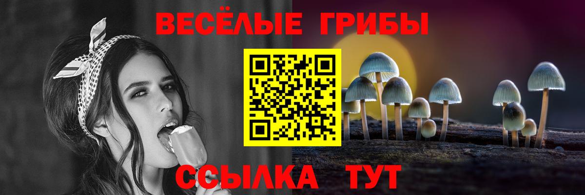 Галлюциногенные грибы GOLDEN TEACHER Белореченск